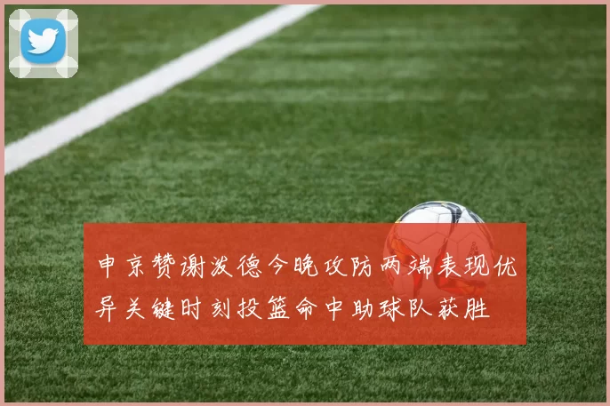 申京赞谢泼德今晚攻防两端表现优异关键时刻投篮命中助球队获胜